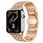 Mobigear Dragon Rostfritt stål Apple Watch Armband Fjärilslås - 49/46/45/44 mm - Roséguld