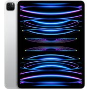 iPad Pro 12.9 inch (2022) hoesjes