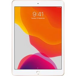 PanzerGlass Edge to Edge iPad 7 (2019) Vetro Protezione schermo - Compatibile con le cover