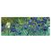 Mobigear Anti-Slip Tappetino per mouse - 40 x 90 cm - Irises